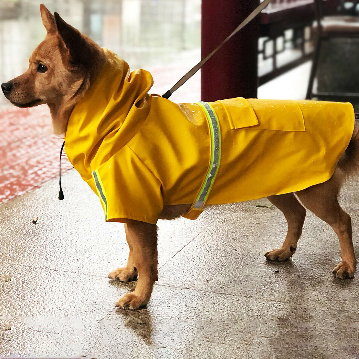 Imperméable pour Chien avec Capuche – Manteau de Pluie Étanche & Réfléchissant