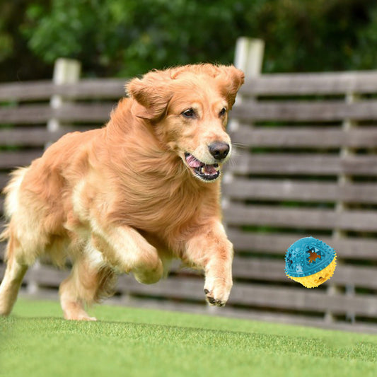 Jouet Balle Interactive pour Chien – Anti-Morsure, Distributeur de Friandises & Nettoyage des Dents