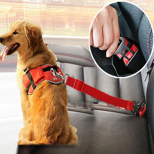 Ceinture de Sécurité Réglable Chien & Chat pour Voiture – Harnais Auto Anti-Distractif
