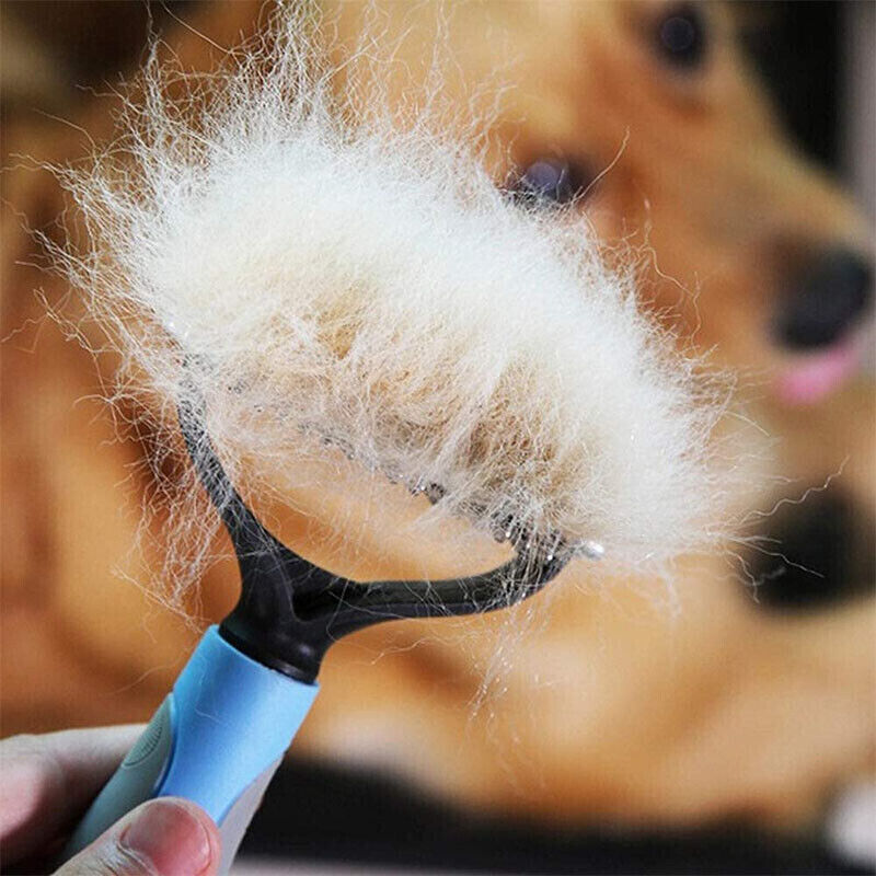 Brosse de Toilettage Double Face Chien & Chat – Anti-Nœuds & Réduction de Poils