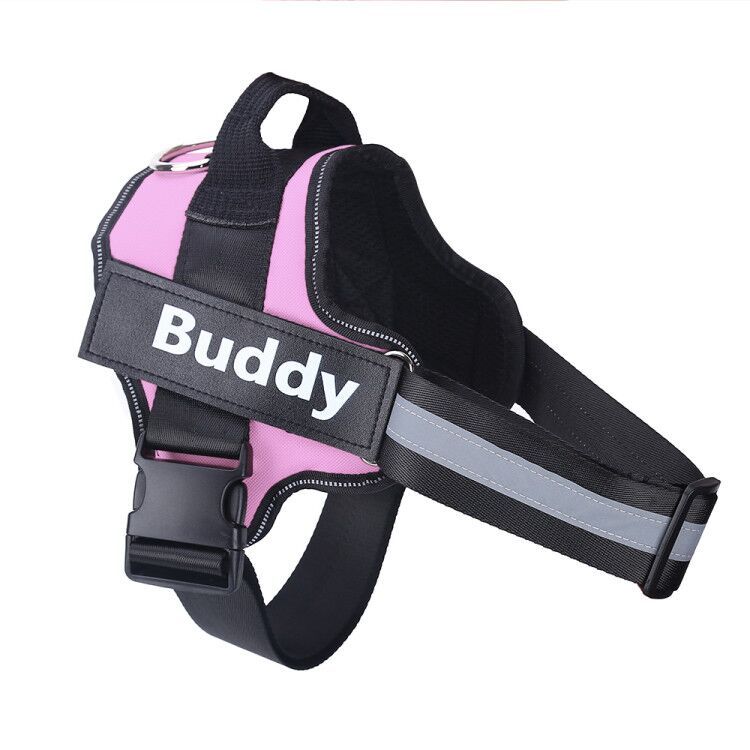 Harnais Personnalisé pour Chien – Anti-Traction Réfléchissant & Confortable