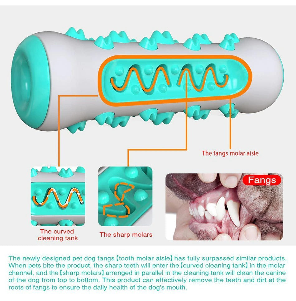 Jouet à Mâcher Résistant pour Chien – Brosse à Dents 360° avec Couinement | Anti-Destruction & Nettoyage Dentaire