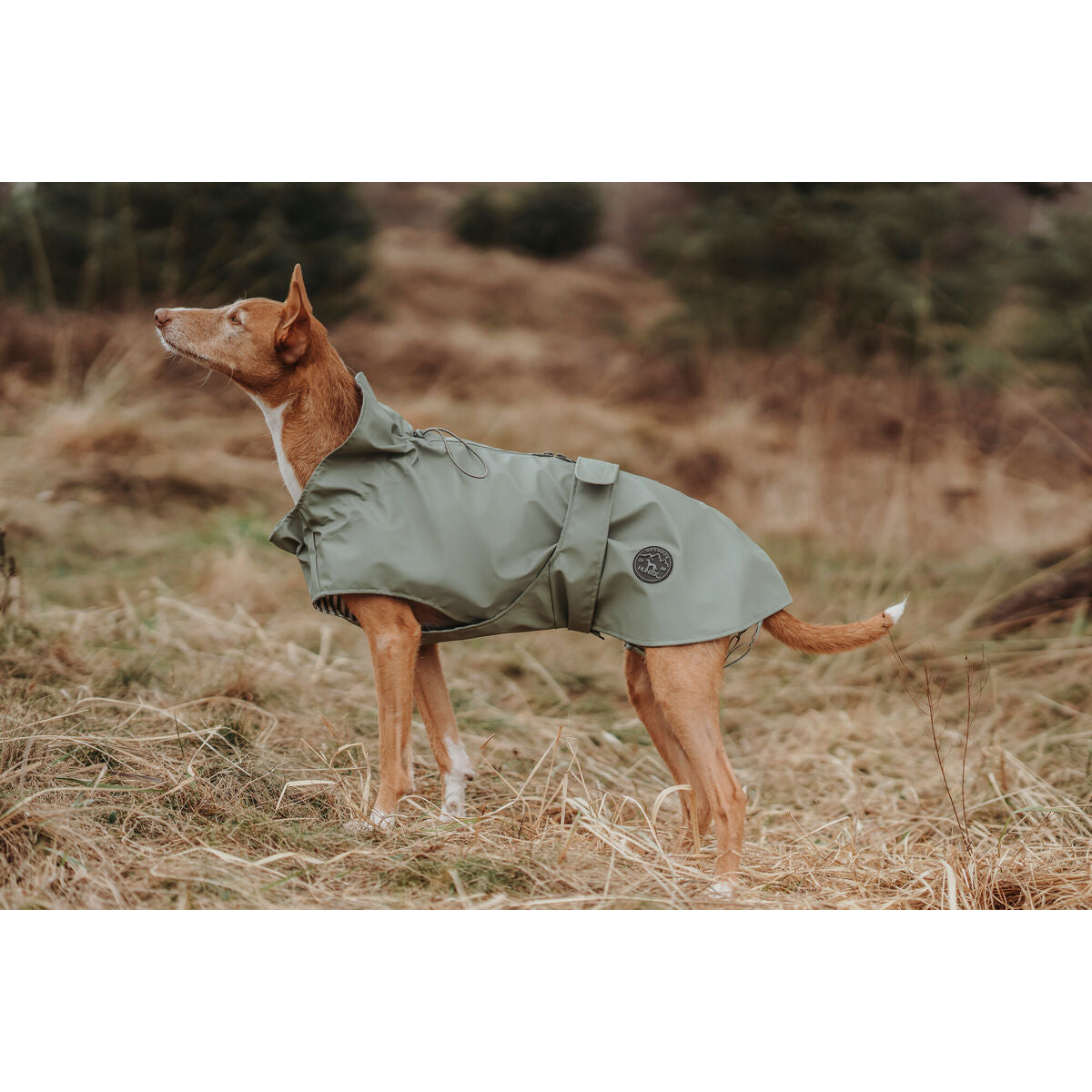 Dog Coat Hunter Milford Green 35 cm-4