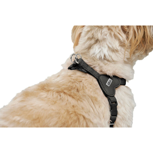 Dog Harness Hunter SOHO MINI Black-1