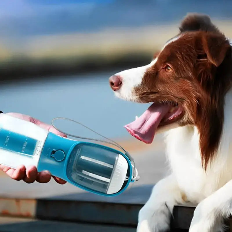 Gourde Multifonction 3-en-1 pour Animaux – Eau, Nourriture & Sacs à Déchets