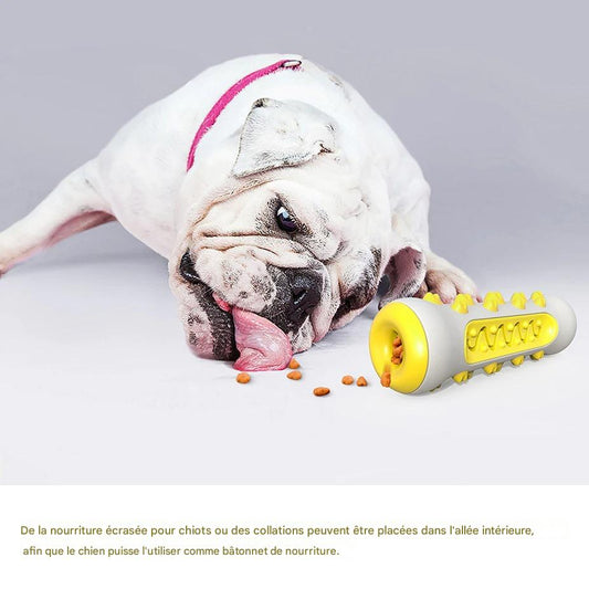 Jouet à Mâcher Résistant pour Chien – Brosse à Dents 360° avec Couinement | Anti-Destruction & Nettoyage Dentaire