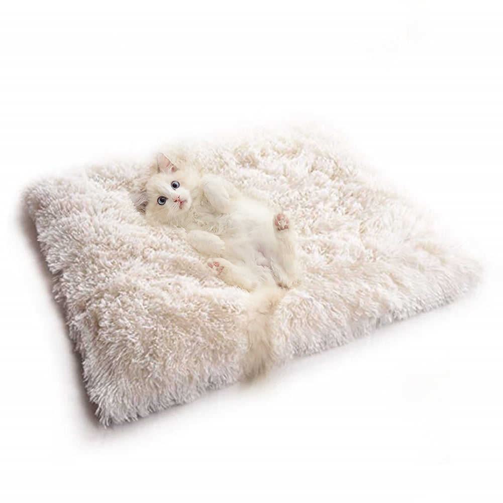 Panier Velours Coréen pour Chats – Élégance & Confort Absolu