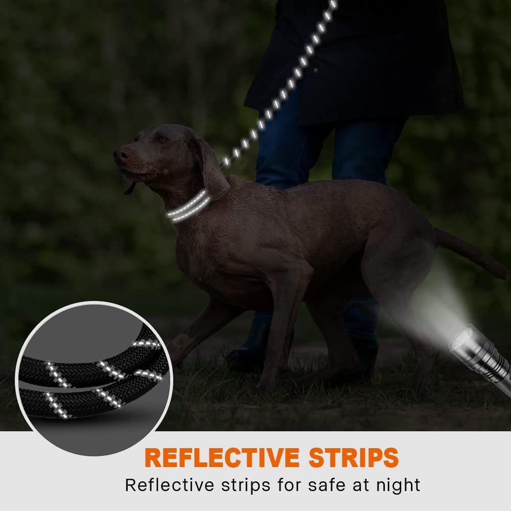 Laisse Élastique Mains Libres pour Chien – Réfléchissante & Confortable (Jogging & Running)