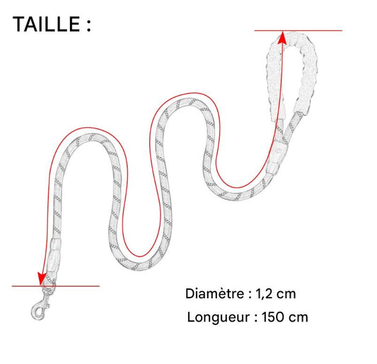 Laisse Réfléchissante en Nylon pour Petits, Moyens & Grands Chiens