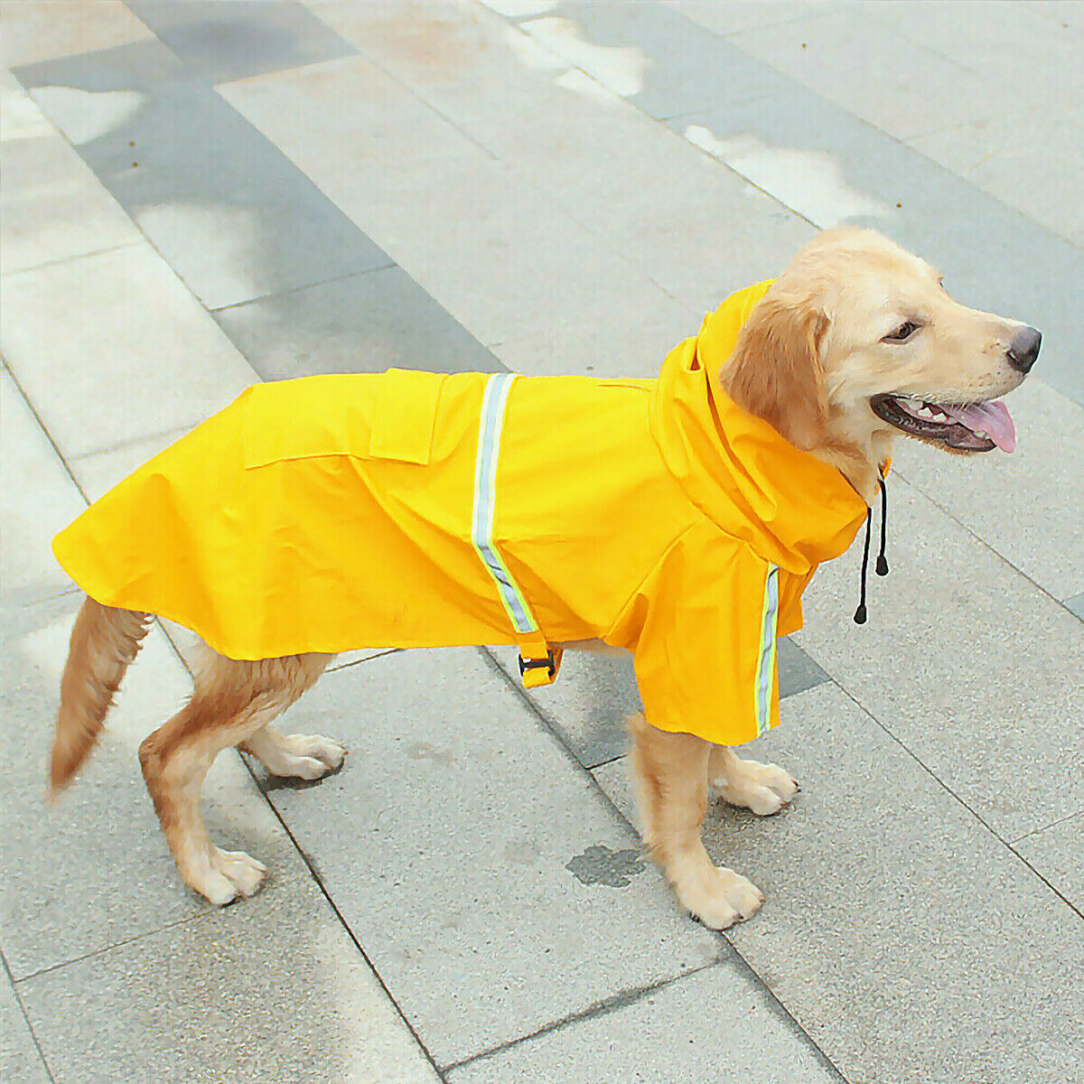Imperméable pour Chien avec Capuche – Manteau de Pluie Étanche & Réfléchissant