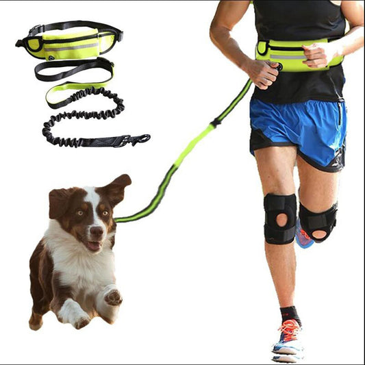 Laisse Mains Libres pour Chien – Ceinture de Marche avec Bungee Amortisseur et Poches de Rangement