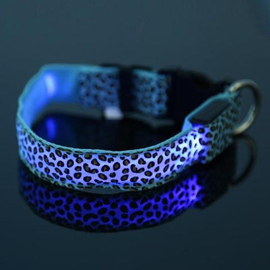 Collier LED Léopard pour Chien – Sécurité Nocturne & Style Tendance