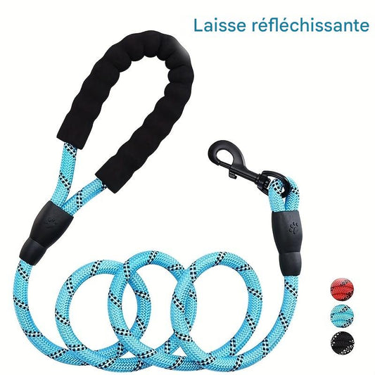Laisse Élastique Mains Libres pour Chien – Réfléchissante & Confortable (Jogging & Running)