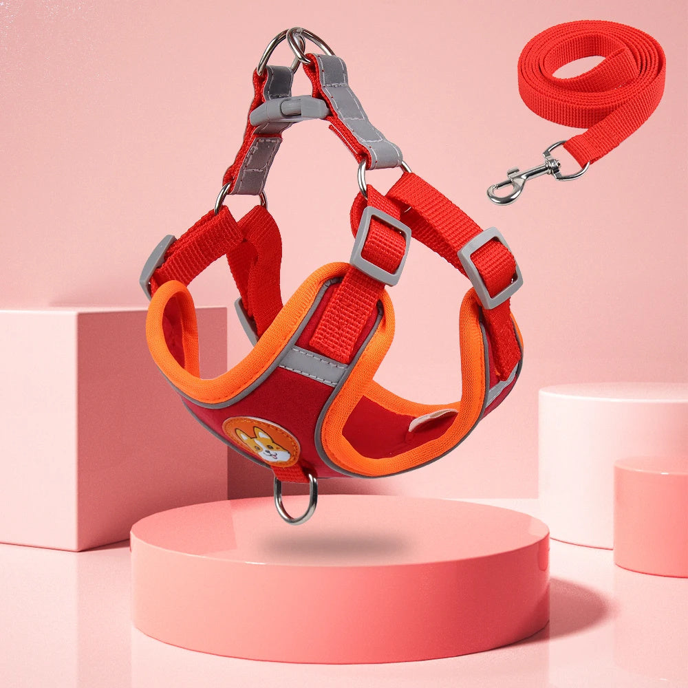 Harnais et Laisse Réglables pour Petit Chien & Chiot – Antitraction, Réfléchissant & Confortable