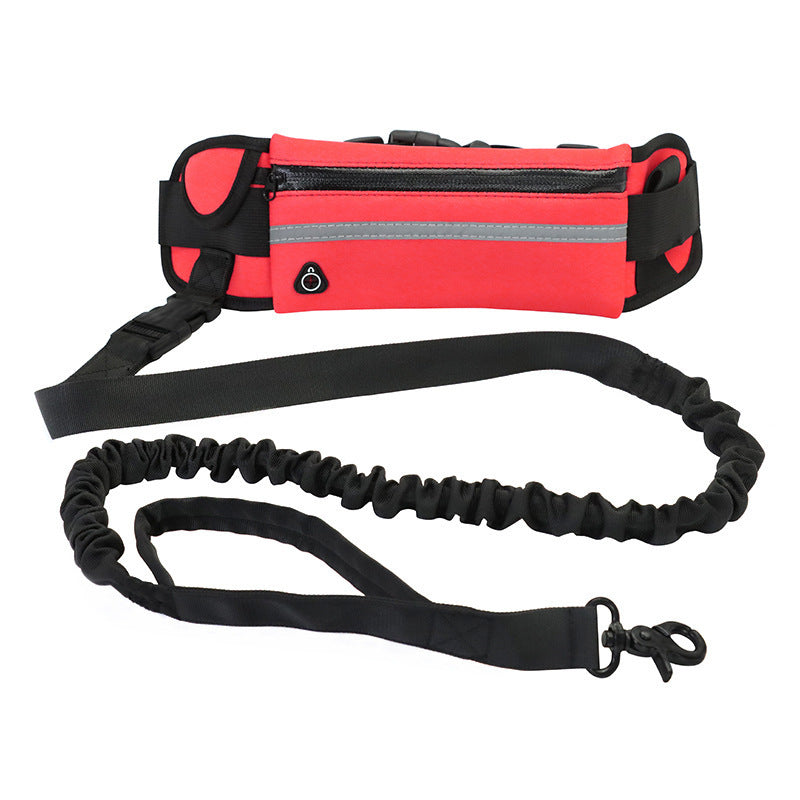 Laisse Mains Libres pour Chien – Ceinture de Marche avec Bungee Amortisseur et Poches de Rangement