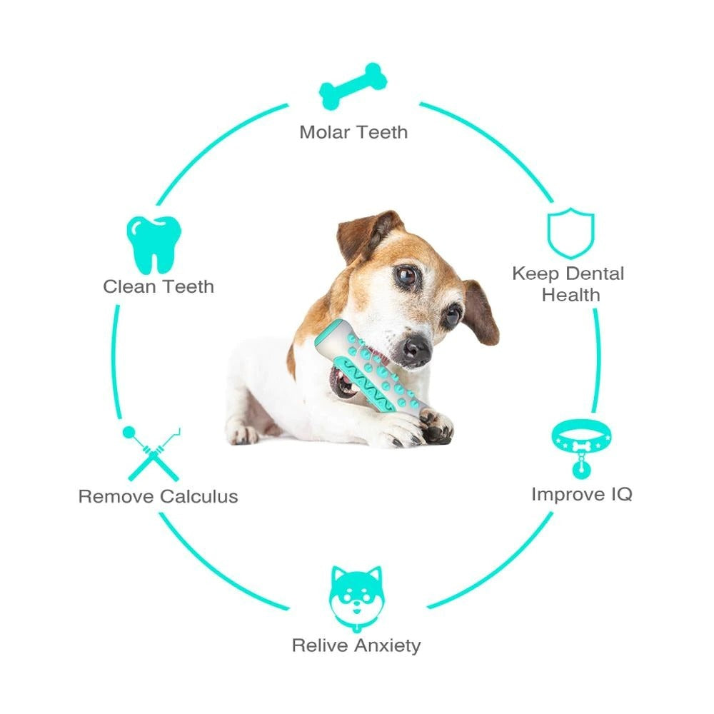 Jouet à Mâcher Résistant pour Chien – Brosse à Dents 360° avec Couinement | Anti-Destruction & Nettoyage Dentaire