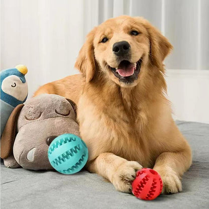 JJouet pour Chien – Balle à Friandises avec Corde Résistante | Anti-stress & Nettoyage Dentaire