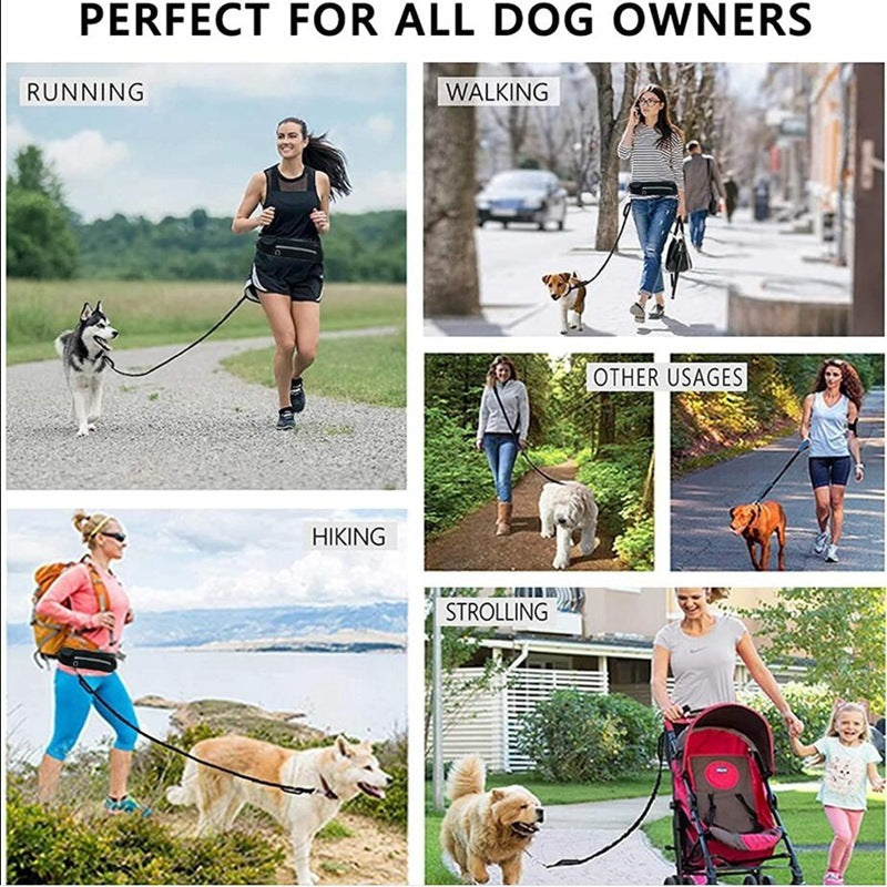 Laisse Mains Libres pour Chien – Ceinture de Marche avec Bungee Amortisseur et Poches de Rangement