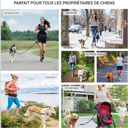 Laisse Mains Libres pour Chien – Ceinture de Marche avec Bungee Amortisseur et Poches de Rangement
