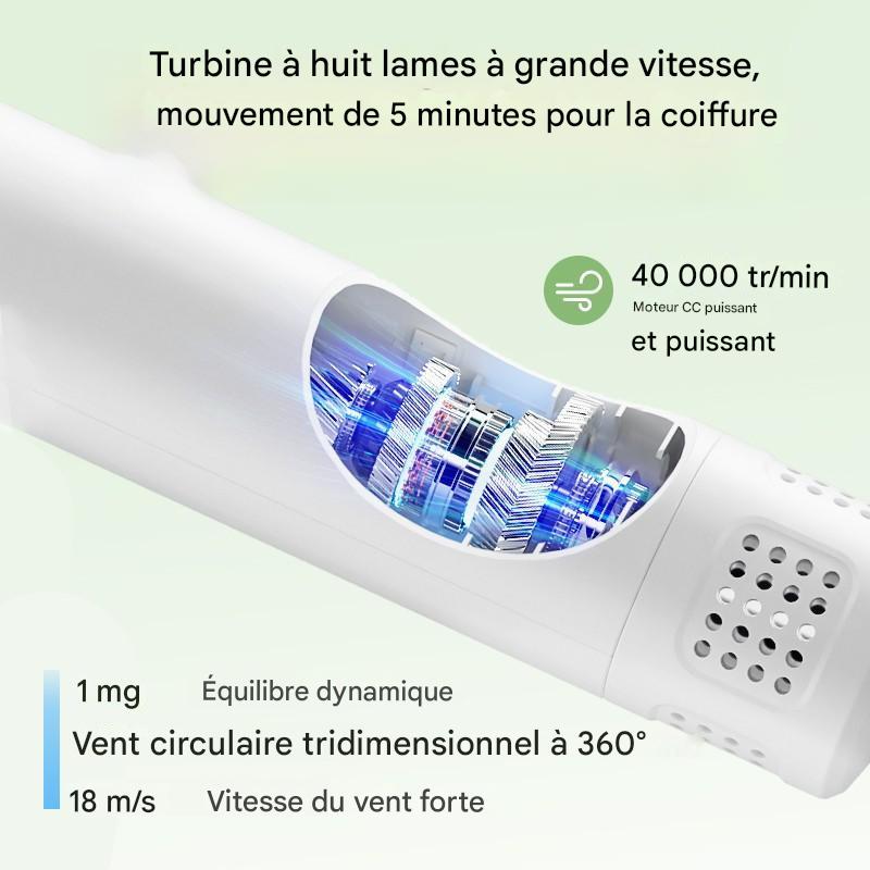 Sèche-Cheveux Intelligent 2 en 1 avec Brosse Intégrée pour Chiens & Chats