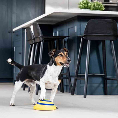 Jouet Sonore Interactif pour Chien – Disque Woof Glider Anti-Stress & Durable