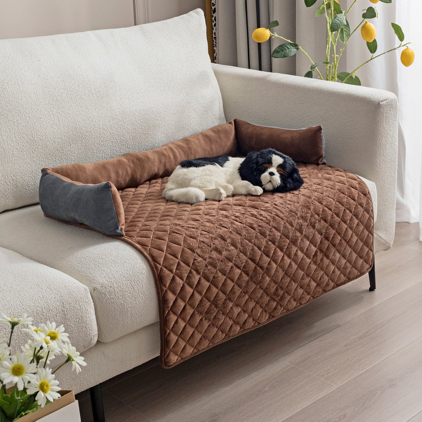 Canapé-Lit pour Chien & Chat – Coussin Douillet & Protecteur de Meubles