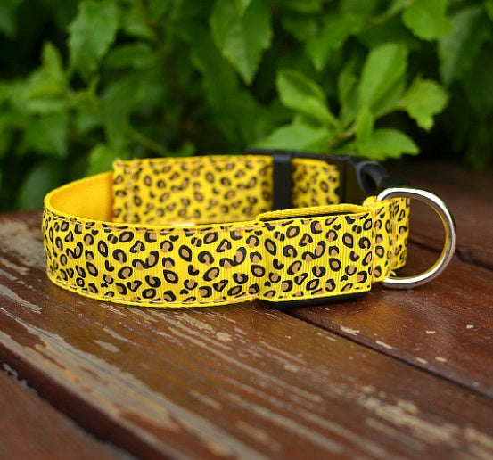 Collier LED Léopard pour Chien – Sécurité Nocturne & Style Tendance