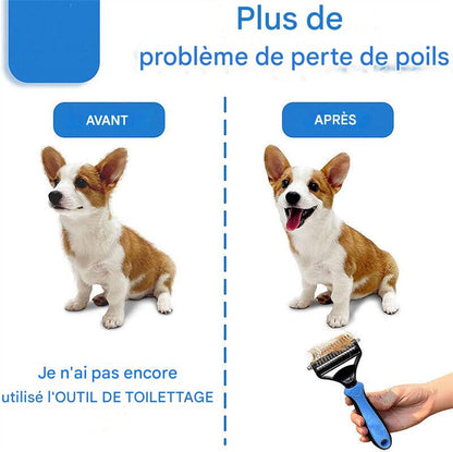 Brosse de Toilettage Double Face Chien & Chat – Anti-Nœuds & Réduction de Poils