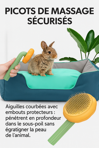 Pet Pumpkin Brush – Brosse Autonettoyante pour Chiens, Chats & Petits Animaux