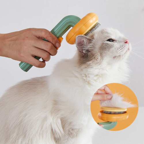 Pet Pumpkin Brush – Brosse Autonettoyante pour Chiens, Chats & Petits Animaux