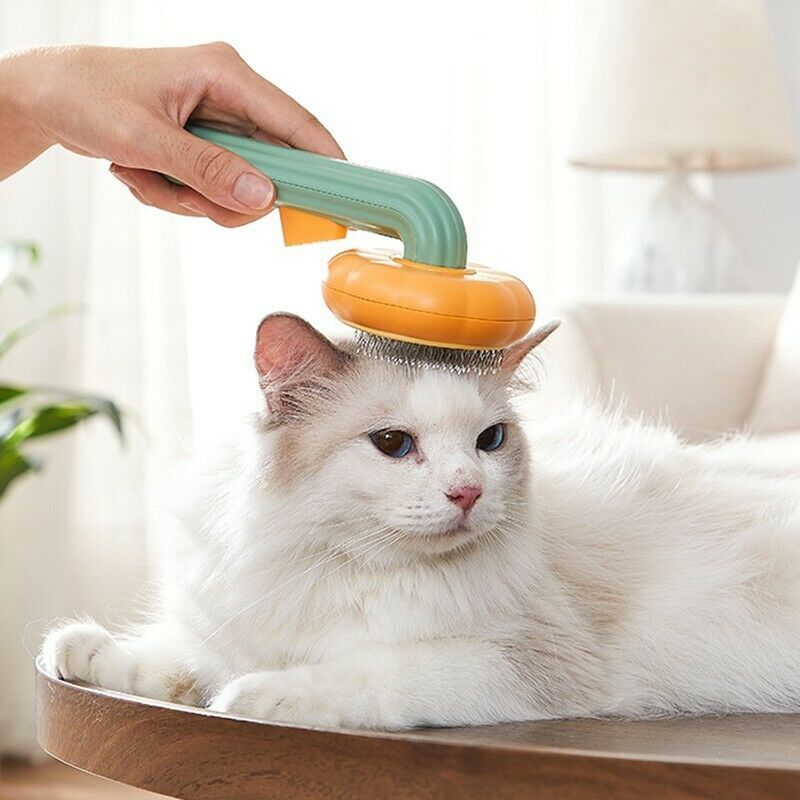Pet Pumpkin Brush – Brosse Autonettoyante pour Chiens, Chats & Petits Animaux