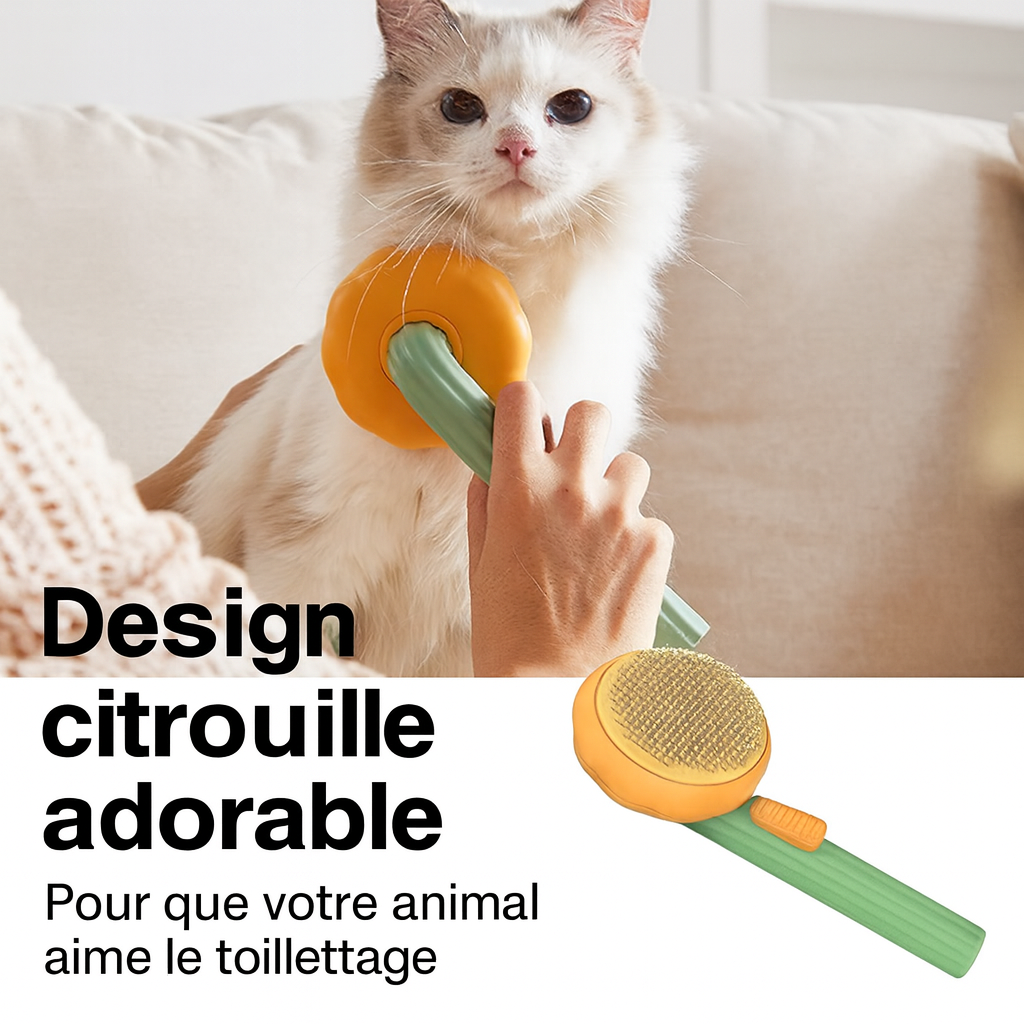 Pet Pumpkin Brush – Brosse Autonettoyante pour Chiens, Chats & Petits Animaux