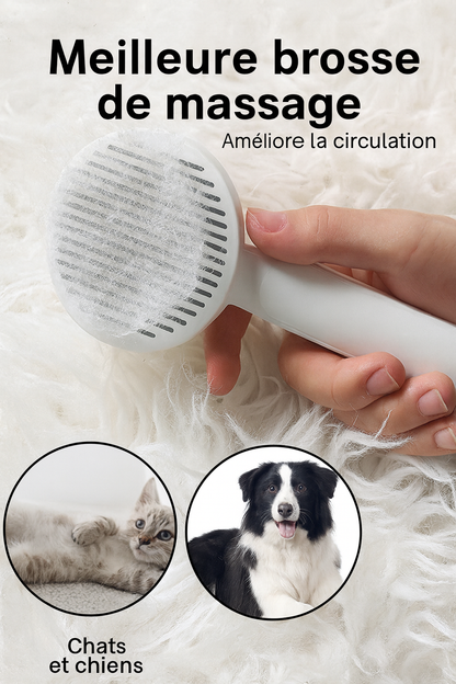 Brosse Autonettoyante pour Chats & Chiens – Toilettage Poils Courts & Longs