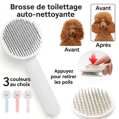 Brosse Autonettoyante pour Chats & Chiens – Toilettage Poils Courts & Longs