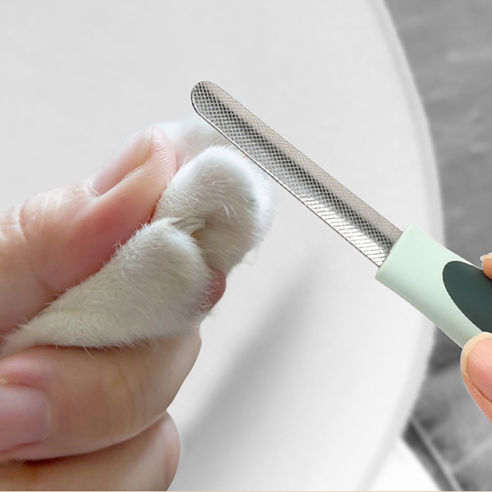 Kit de Tonte & Toilettage Professionnel pour Chiens et Chats – Tondeuse Silencieuse Rechargeable + Accessoires