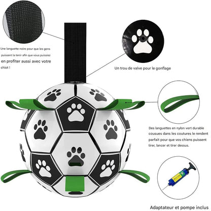 Jouet de Football Interactif pour Chiens – Ballon Gonflable Résistant & Flottant