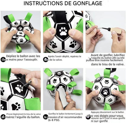 Jouet de Football Interactif pour Chiens – Ballon Gonflable Résistant & Flottant