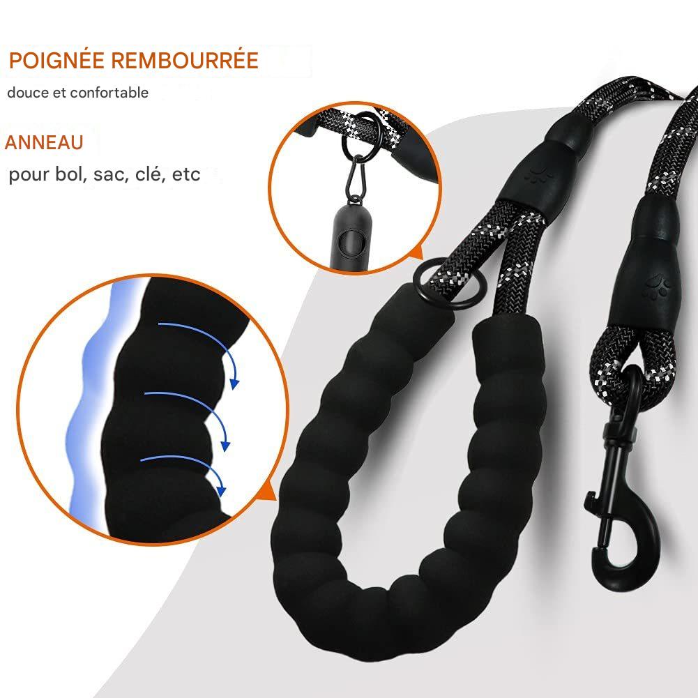 Laisse Élastique Mains Libres pour Chien – Réfléchissante & Confortable (Jogging & Running)