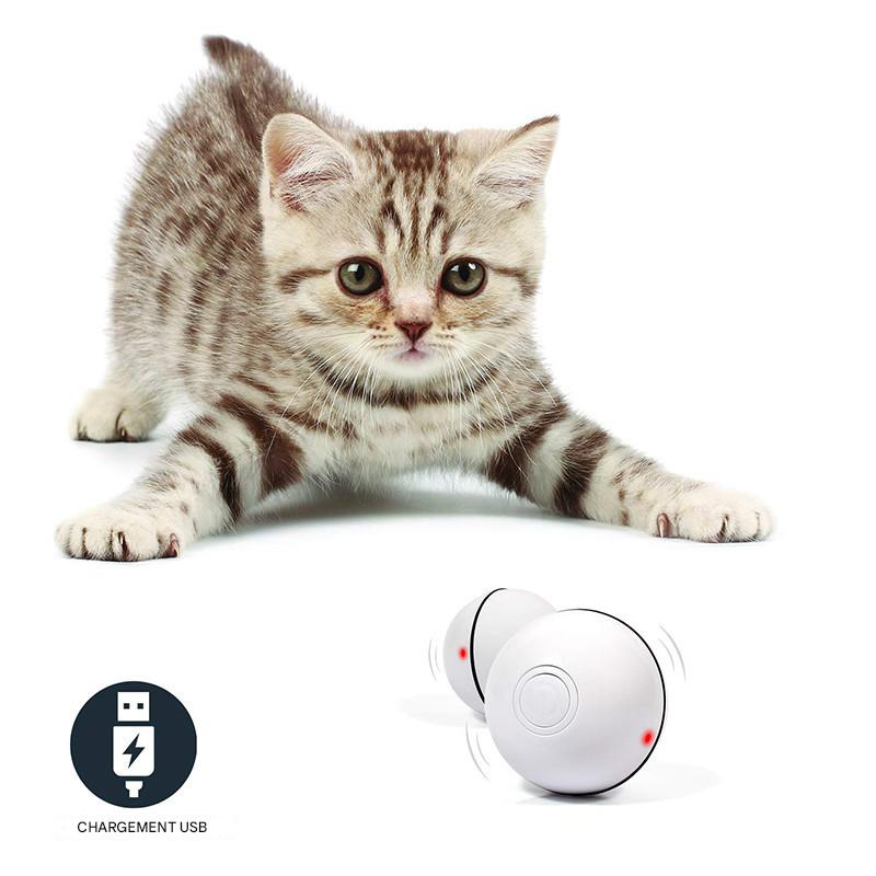 Balle Interactive LED & Laser pour Chats – Jeu, Chasse & Énergie Illimitée