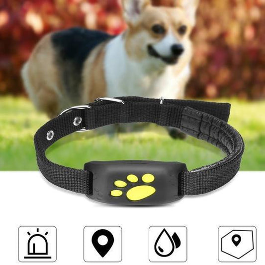 GPS Pet Tracker Waterproof – Localisation en Temps Réel & Alerte Fugue
