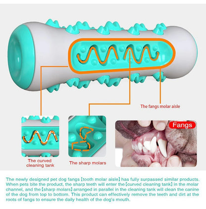 Jouet à Mâcher Résistant pour Chien – Brosse à Dents 360° avec Couinement | Anti-Destruction & Nettoyage Dentaire
