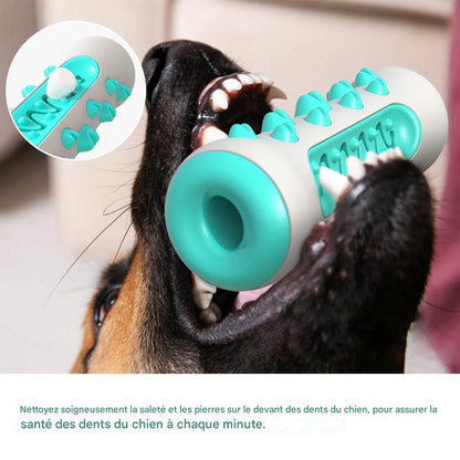 Jouet à Mâcher Résistant pour Chien – Brosse à Dents 360° avec Couinement | Anti-Destruction & Nettoyage Dentaire
