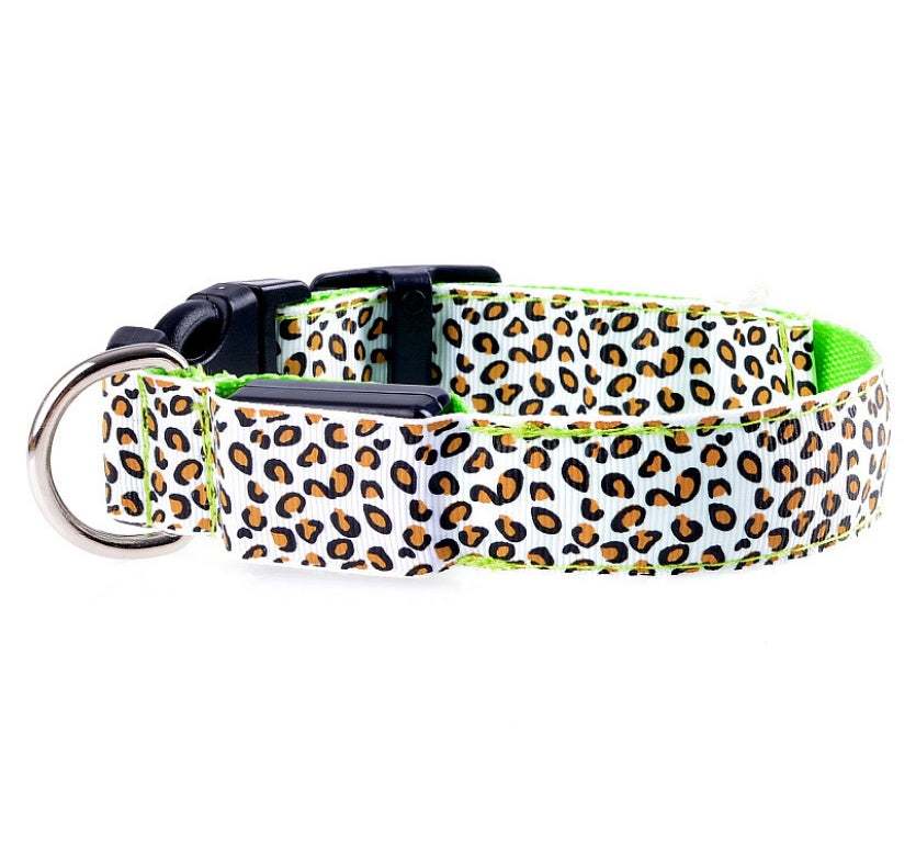 Collier LED Léopard pour Chien – Sécurité Nocturne & Style Tendance