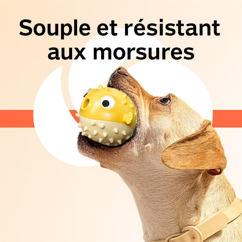 Jouet à Mâcher Poisson pour Chien – Squeaky Résistant & Nettoyant Dents