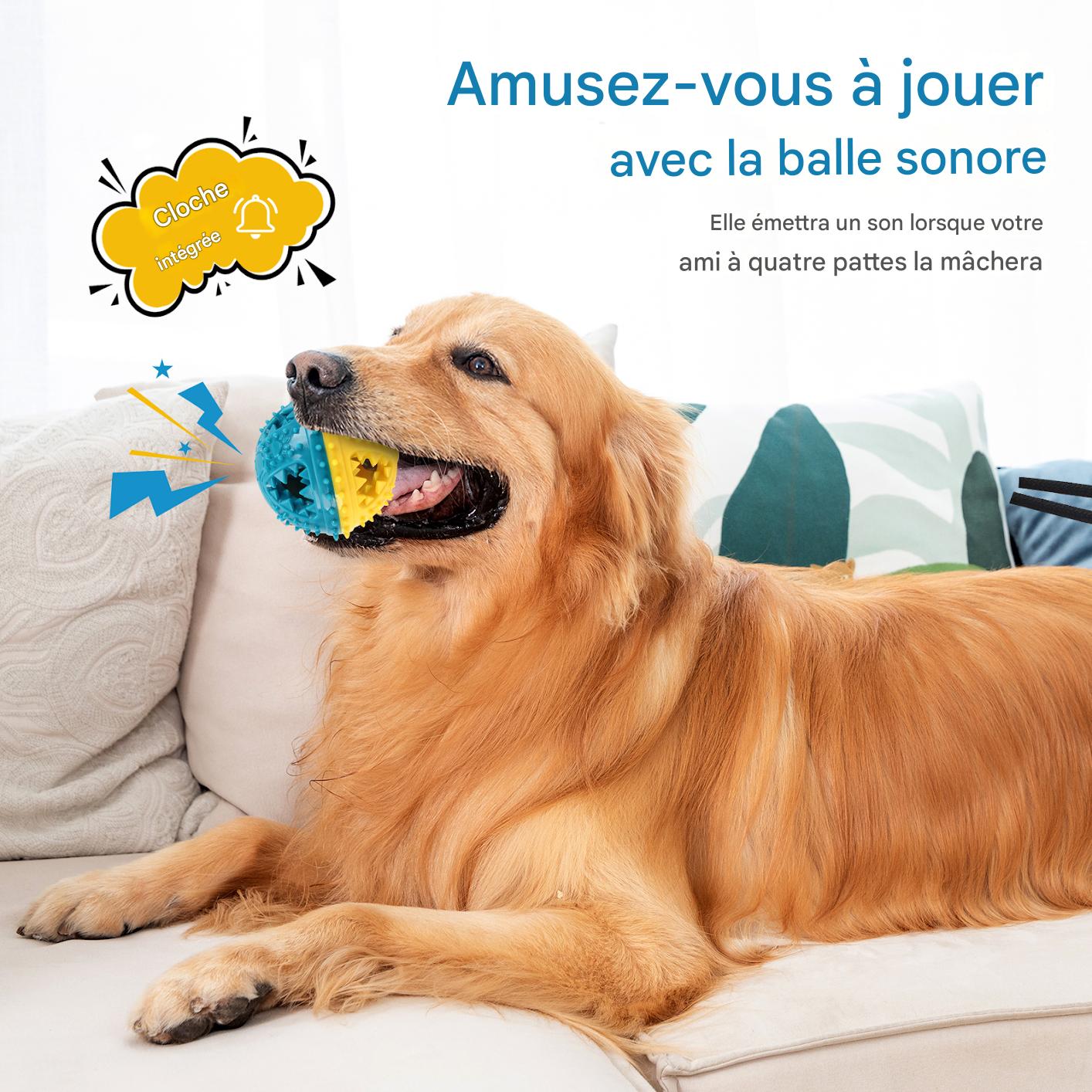 Jouet Balle Interactive pour Chien – Anti-Morsure, Distributeur de Friandises & Nettoyage des Dents