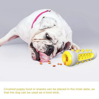Jouet à Mâcher Résistant pour Chien – Brosse à Dents 360° avec Couinement | Anti-Destruction & Nettoyage Dentaire