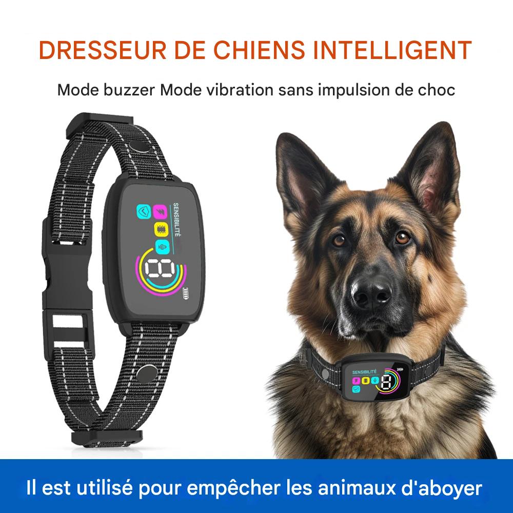 Collier Anti-Aboiement Intelligent pour Chien – Rechargeable, HD Display & Étanche IP67