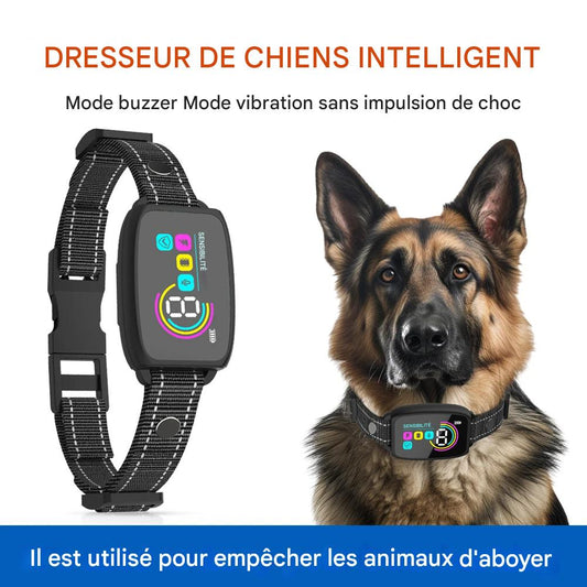 Collier Anti-Aboiement Intelligent pour Chien – Rechargeable, HD Display & Étanche IP67