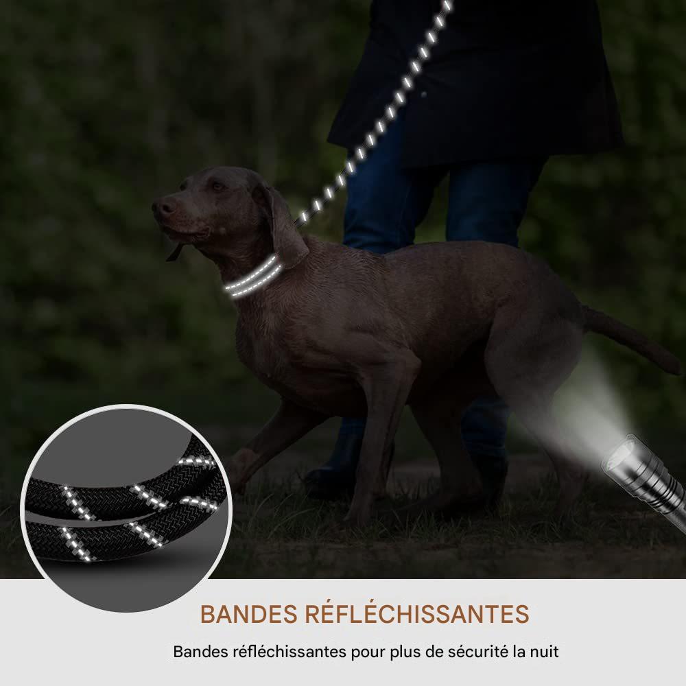 Laisse Élastique Mains Libres pour Chien – Réfléchissante & Confortable (Jogging & Running)