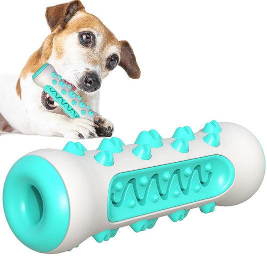 Jouet à Mâcher Résistant pour Chien – Brosse à Dents 360° avec Couinement | Anti-Destruction & Nettoyage Dentaire